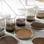 GlobePharma application technology
